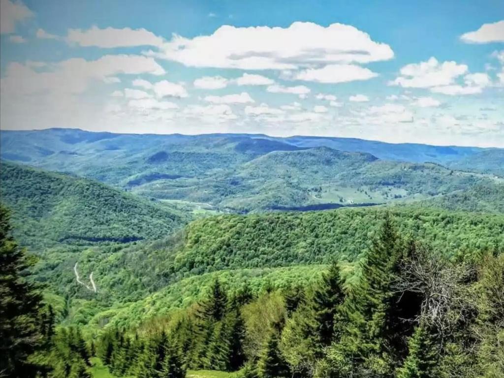 Enjoy The Long Range View, Ski In N Out Top Of The Mountain Condo Snowshoe Eksteriør bilde